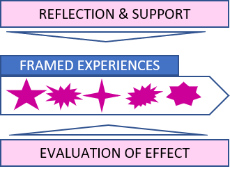 how organisations frame experience